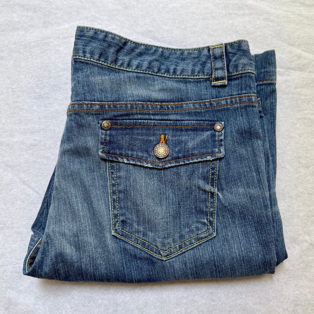Banana Republic Bronson Premium Denim Boot Cut distressed jeans